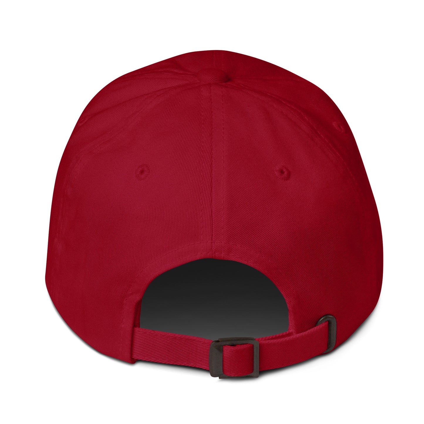 Gorra dad hat Bird