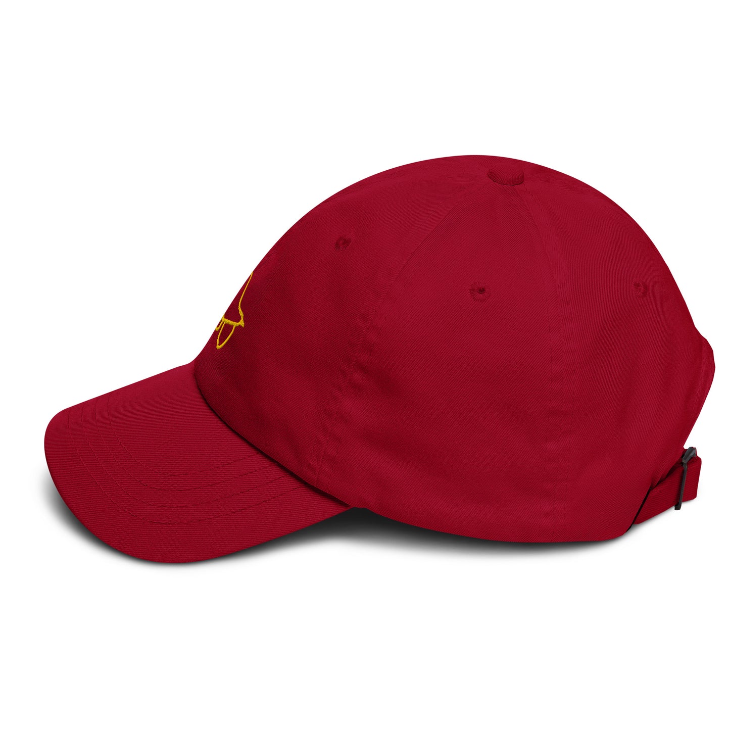 Gorra dad hat Bird