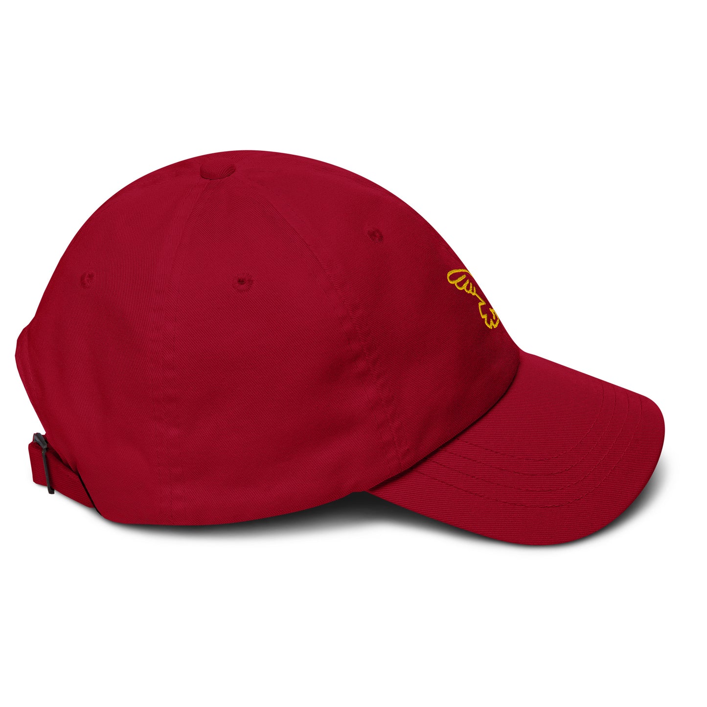 Gorra dad hat Bird