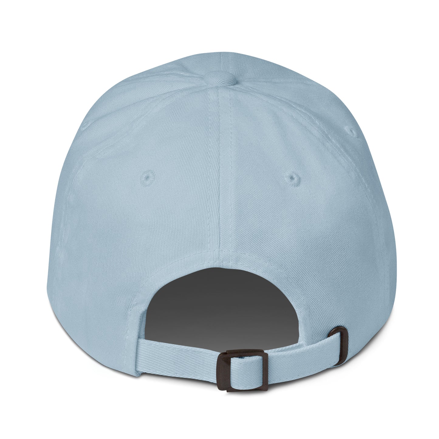 Gorra dad hat Bird