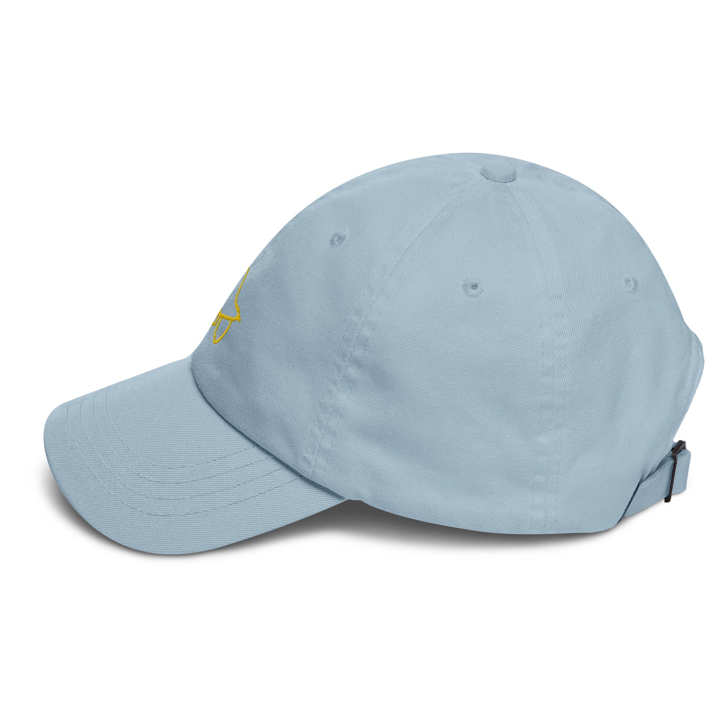 Gorra dad hat Bird