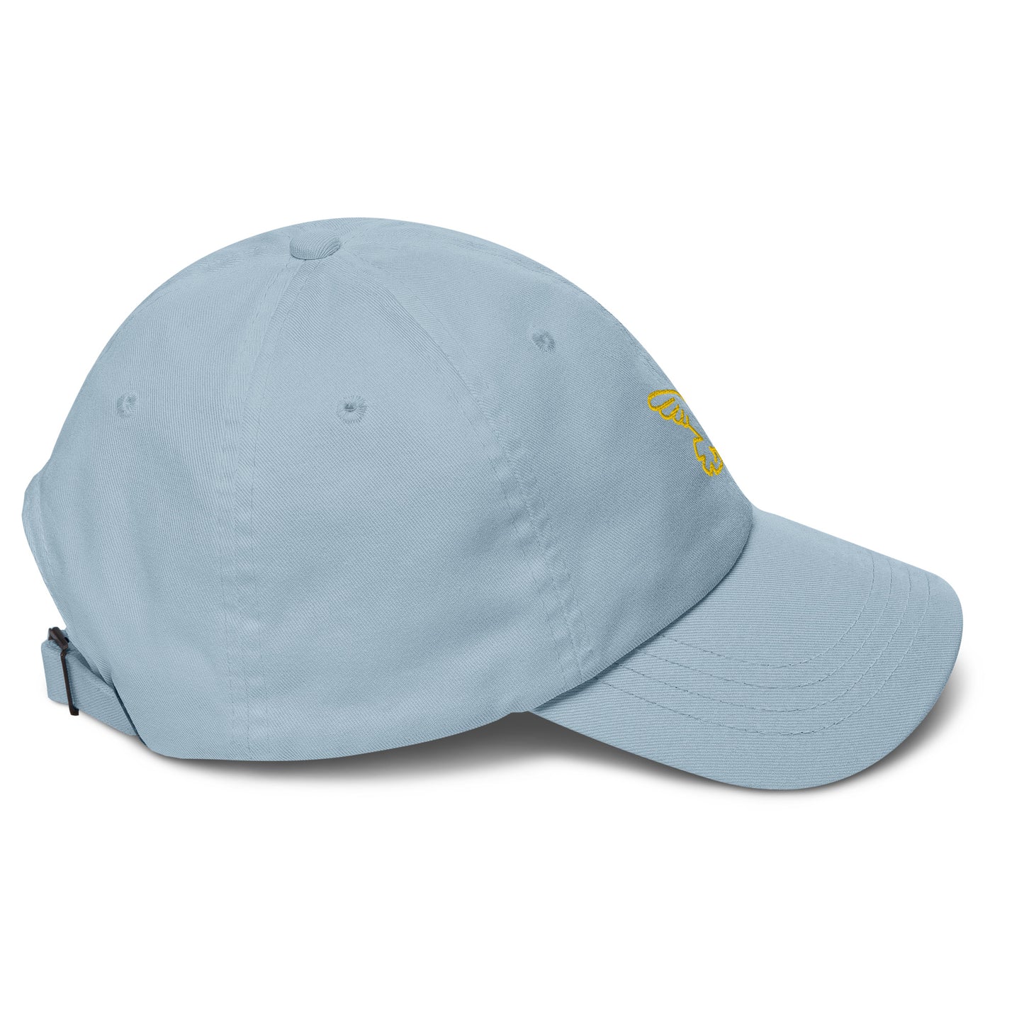 Gorra dad hat Bird