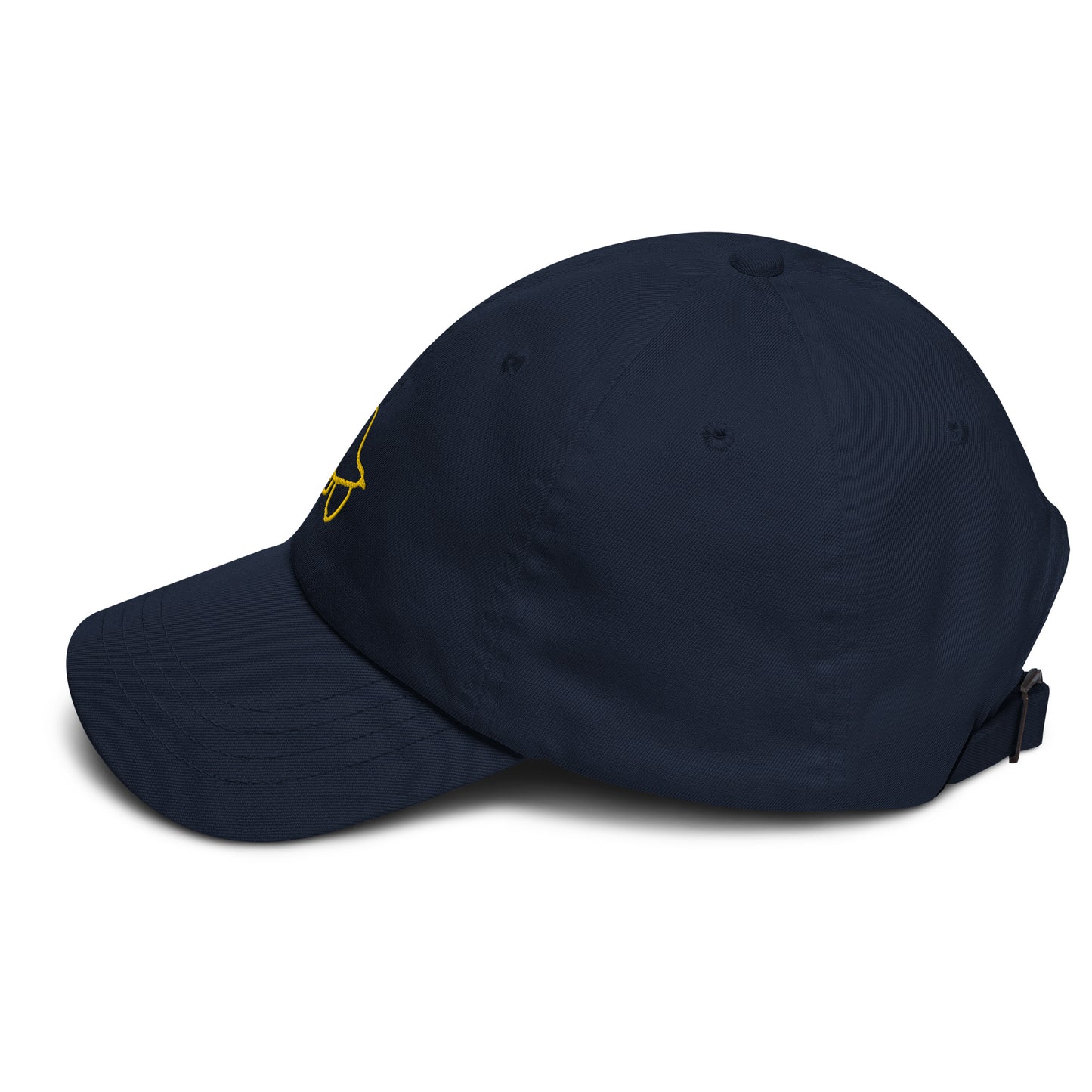 Gorra dad hat Bird