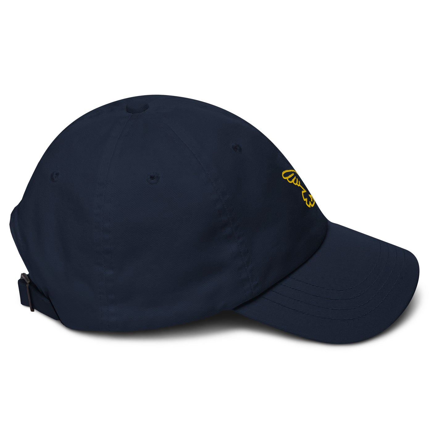Gorra dad hat Bird