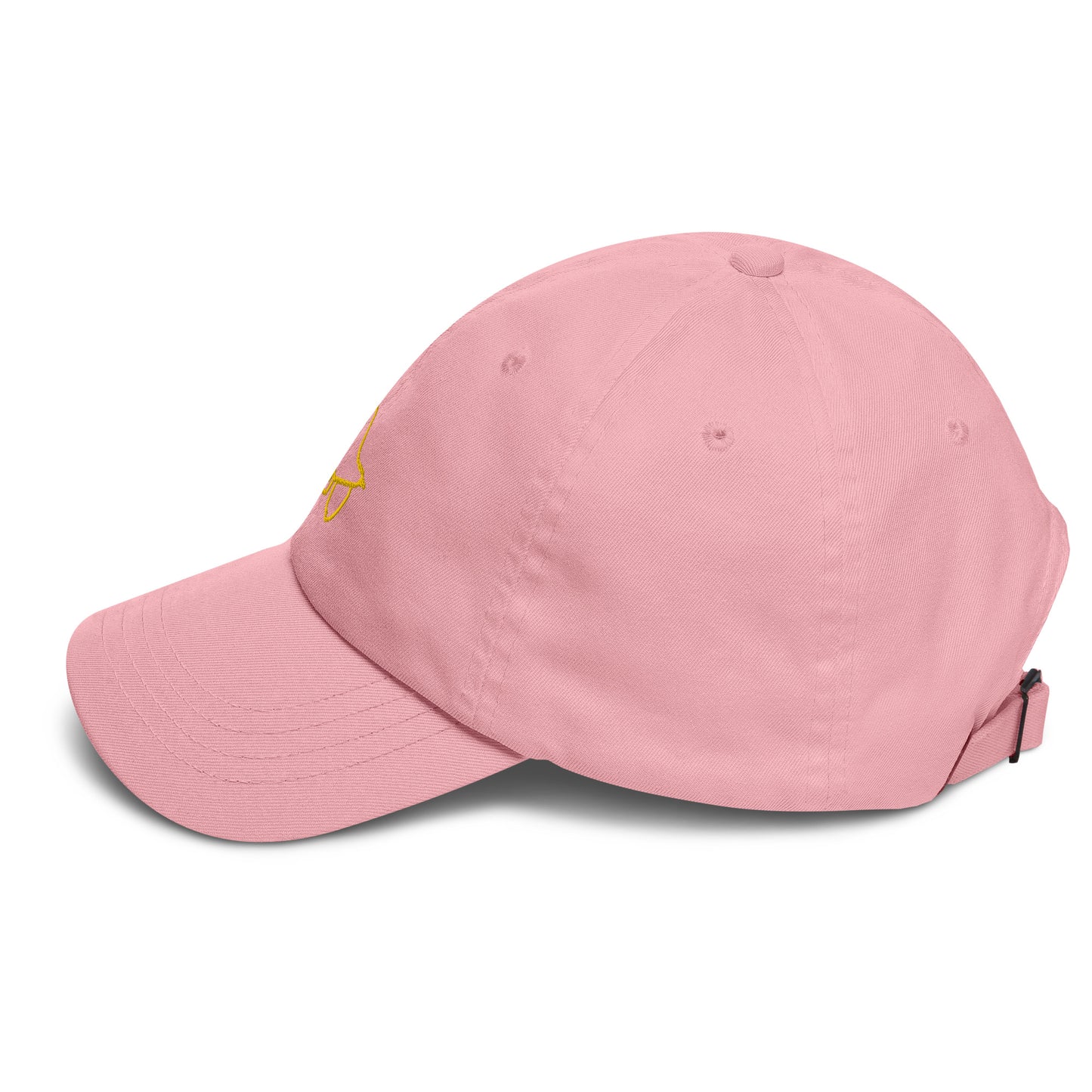 Gorra dad hat Bird