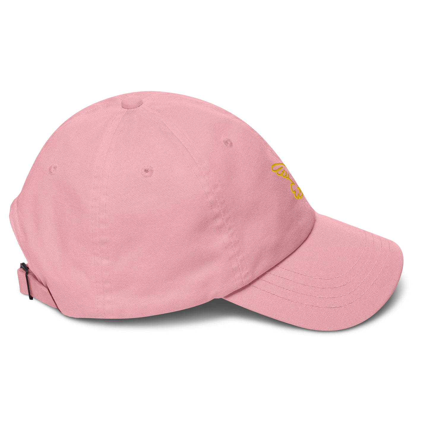 Gorra dad hat Bird