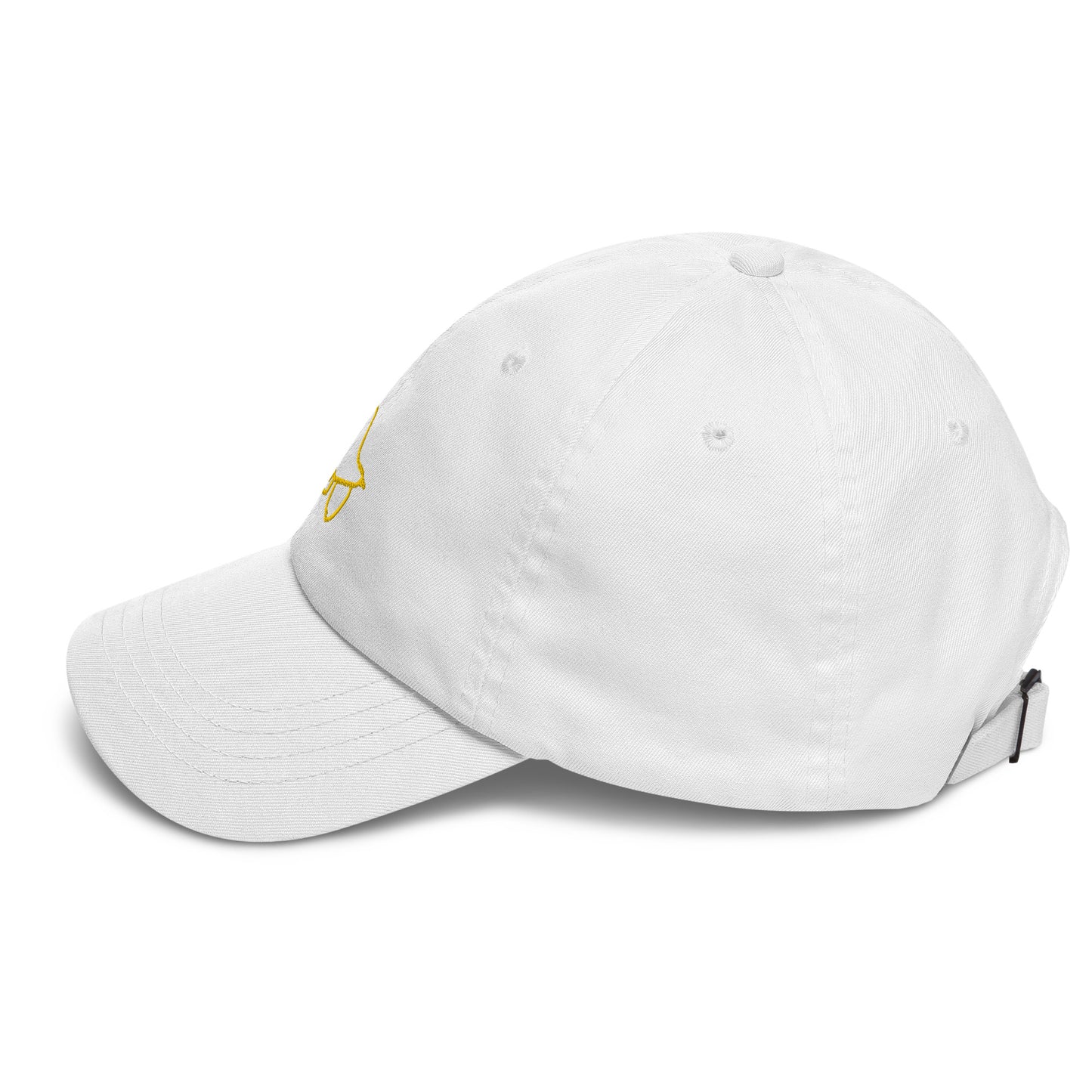 Gorra dad hat Bird