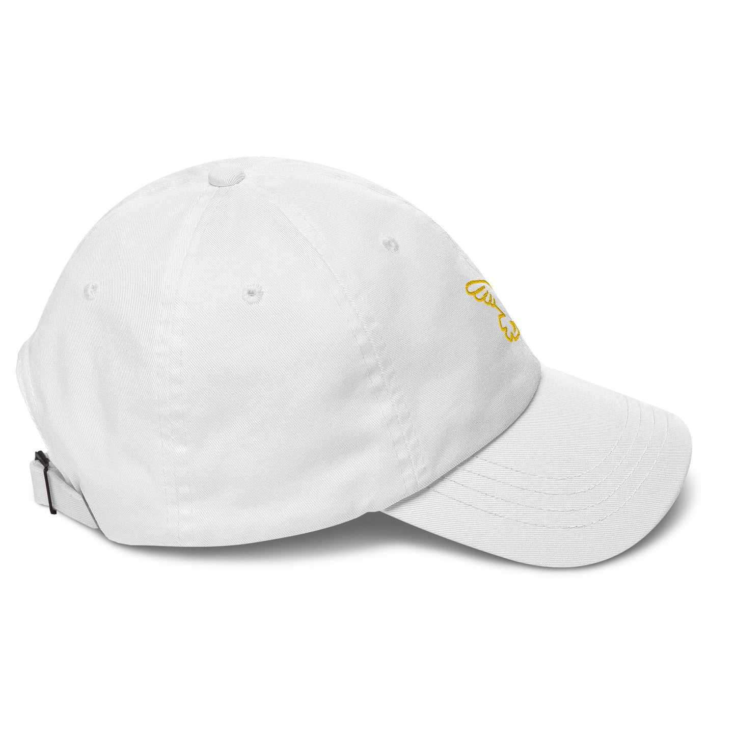 Gorra dad hat Bird